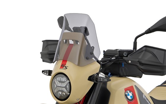 Verkleidungsscheibe für Lampenmaske R 12 G/S- rauchgrau - Bild 1