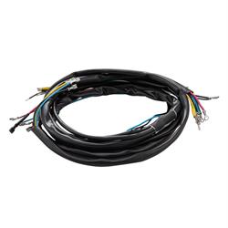 Kabelbaum PASCOLI für Vespa 200 Rally VSE1T 18001 ->