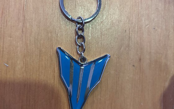 Schlüsselanhänger 25 HN LEUCHT. - Bild 1