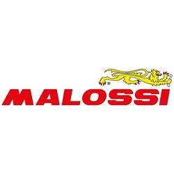 Riemenscheibe MALOSSI Ventilvar 2000, 6119155 für HONDA Forza/PCX/SH 125-150ccm 4T LC
