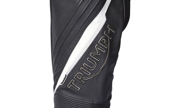 TRIPLE LEATHER PANTS - Bild 8