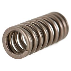 Ventilfeder für Vespa GTS/GTS Super/GTV/GT 60/GT/GT L 125-300ccm 4T LC