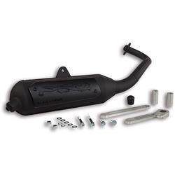 Rennauspuff MALOSSI Wild Lion 3217172 für APRILIA SR Motard/ PIAGGIO Typhoon (- 11-) 50ccm 2T AC/LC