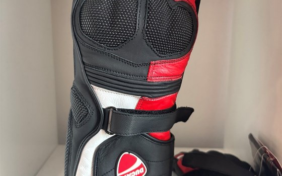 HANDSCHUHE SPEED EVO C2 XXL - Bild 1