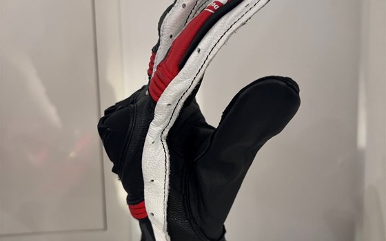 HANDSCHUHE SPORT C4 S/RO/WE XL - Bild 3