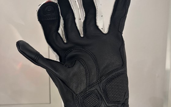 HANDSCHUHE SPORT C4 S/RO/WE  L - Bild 4