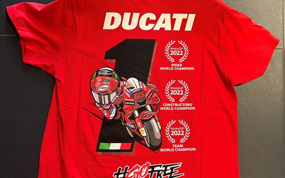 T-SHIRT CELEBRATIVA PB  HERREN XL - Bild 2