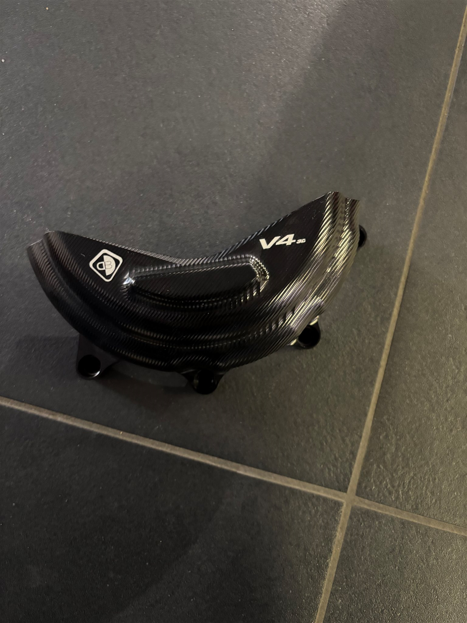 Lichtmaschinenschutz Panigale V4 /SF V4 schwarz