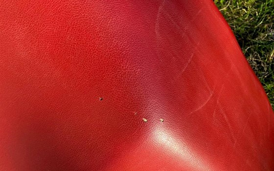 Ducati Paso 906/907i.e./750 Sitzbank - Bild 2