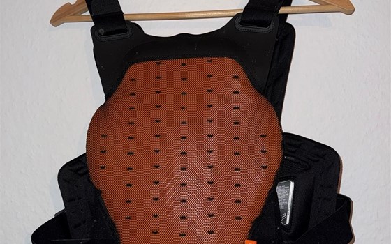 Fox Brustpanzer - Bild 2