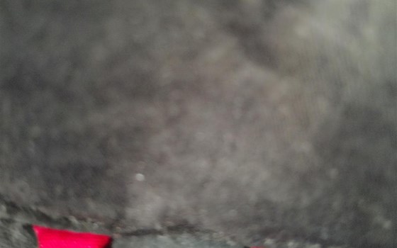 Alpinestars Jaws Lederjacke - Bild 5