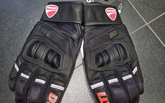 HANDSCHUHE SUMMER C4 SC/RO M - Bild 1