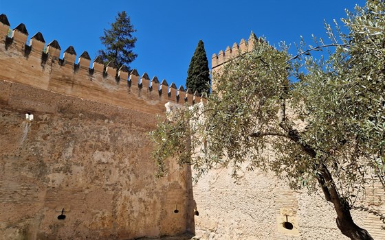 Andalusien April 2026 - 11.04.2026 | 8 Tage - Bild 15