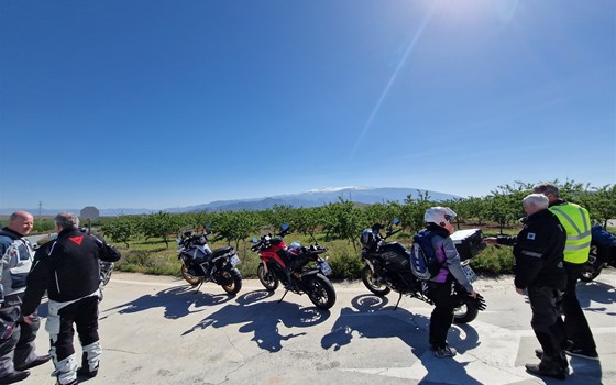 Andalusien April 2026 - 11.04.2026 | 8 Tage - Bild 4