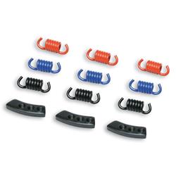 Kupplungsfedern MALOSSI Race Delta Clutch 29 8747 für M527643/M527879/M527880/M529451/M5215166/M528796/M528797/M528798/M529450