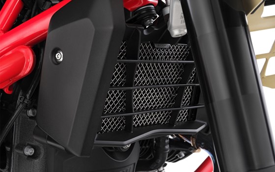 Ölkühlerschutz R 12 G/S- schwarz - Bild 2