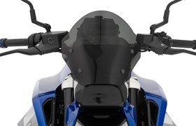 Verkleidungsscheibe SPORT R 1300 R- rauchgrau