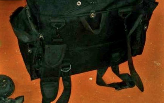 Tankrucksack bzw. für Sissybar - Bild 2