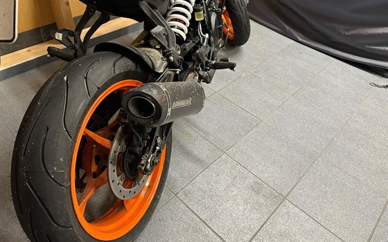 Dominator HP 8 Black + DB Killer - Bild 3