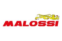 Logo Malossi