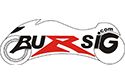 Logo Bursig