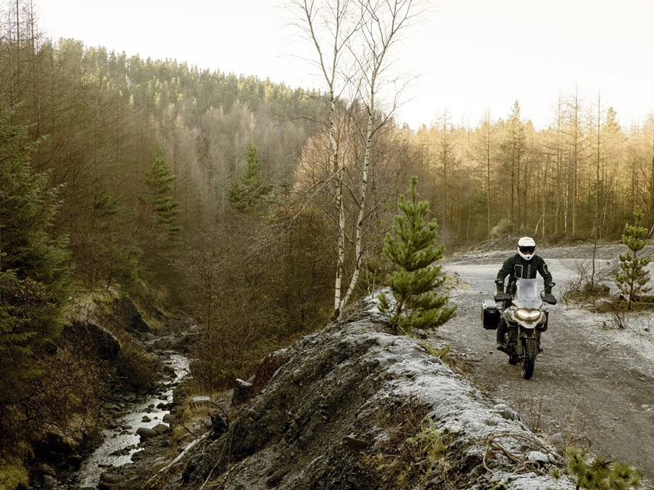 Verleihmotorrad Triumph Tiger 1200 GT PRO vom Händler Klingenberger Kehl GbR Bild 13: Verleihmotorrad Triumph Tiger 1200 GT PRO vom Händler Klingenberger Kehl GbR