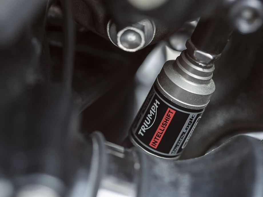 Verleihmotorrad Triumph Tiger 1200 GT PRO vom Händler Klingenberger Kehl GbR Bild 9: Verleihmotorrad Triumph Tiger 1200 GT PRO vom Händler Klingenberger Kehl GbR