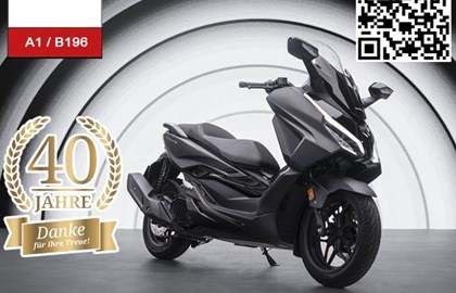 Leihmotorrad Honda Forza 125