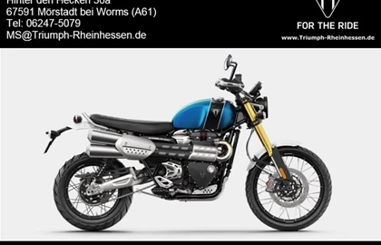 Leihmotorrad Triumph Scrambler 1200 XE Leihmotorrad Triumph Scrambler 1200 XE