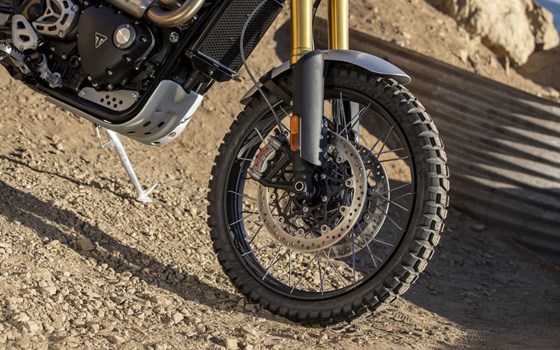 Verleihmotorrad Triumph Scrambler 1200 XE vom Händler Kfz- und Zweirad-Technik Marcel Schmidt - Bild 6 Verleihmotorrad Triumph Scrambler 1200 XE vom Händler Kfz- und Zweirad-Technik Marcel Schmidt - Bild 6