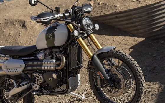 Verleihmotorrad Triumph Scrambler 1200 XE vom Händler Kfz- und Zweirad-Technik Marcel Schmidt - Bild 2 Verleihmotorrad Triumph Scrambler 1200 XE vom Händler Kfz- und Zweirad-Technik Marcel Schmidt - Bild 2