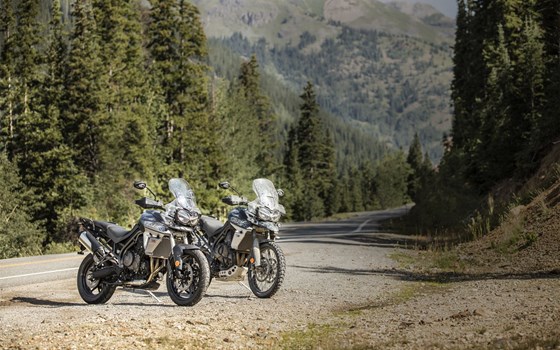 Verleihmotorrad Triumph Tiger 900 Rally Pro vom Händler Q-Bike Technik GmbH - Bild 13 Verleihmotorrad Triumph Tiger 900 Rally Pro vom Händler Q-Bike Technik GmbH - Bild 13