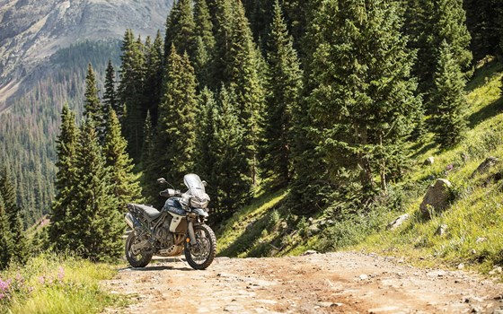 Verleihmotorrad Triumph Tiger 900 Rally Pro vom Händler Q-Bike Technik GmbH - Bild 17 Verleihmotorrad Triumph Tiger 900 Rally Pro vom Händler Q-Bike Technik GmbH - Bild 17