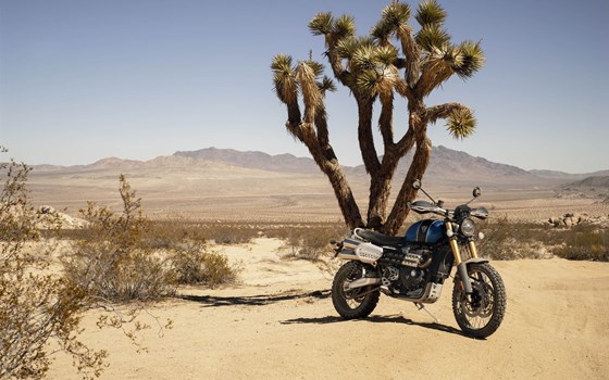 Verleihmotorrad Triumph Scrambler 1200 XE vom Händler Q-Bike Technik GmbH - Bild 7 Verleihmotorrad Triumph Scrambler 1200 XE vom Händler Q-Bike Technik GmbH - Bild 7