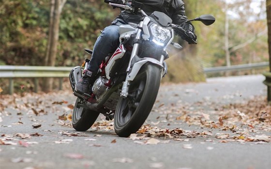 Verleihmotorrad Benelli BN 125 vom Händler Auto und Motorrad Sturm - Bild 21 Verleihmotorrad Benelli BN 125 vom Händler Auto und Motorrad Sturm - Bild 21
