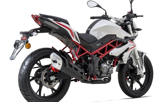 Verleihmotorrad Benelli BN 125 vom Händler Auto und Motorrad Sturm - Bild 5 Verleihmotorrad Benelli BN 125 vom Händler Auto und Motorrad Sturm - Bild 5