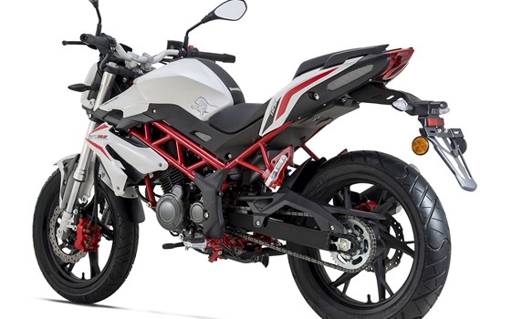 Verleihmotorrad Benelli BN 125 vom Händler Auto und Motorrad Sturm - Bild 8 Verleihmotorrad Benelli BN 125 vom Händler Auto und Motorrad Sturm - Bild 8