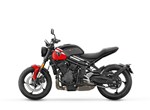 Verleihmotorrad Triumph Trident 660 vom Händler Motorrad Dirnberger GmbH & Co. KG