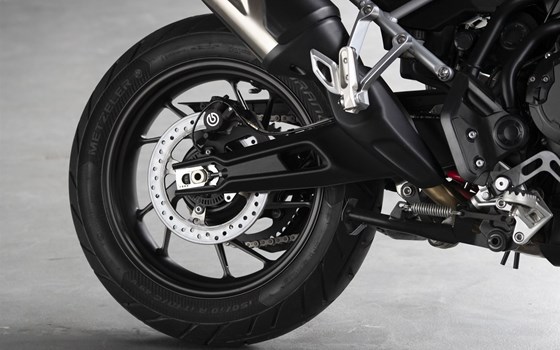 Verleihmotorrad Triumph Tiger 900 GT Pro vom Händler Q-Bike Technik GmbH - Bild 22 Verleihmotorrad Triumph Tiger 900 GT Pro vom Händler Q-Bike Technik GmbH - Bild 22