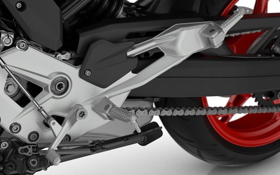 Verleihmotorrad BMW F 900 R vom Händler Motorradsport Feil GmbH - Bild 17