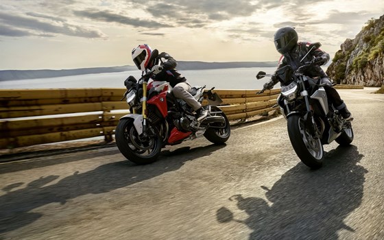 Verleihmotorrad BMW F 900 R vom Händler Euro Motors Graz Motorradhandels GmbH - Bild 3