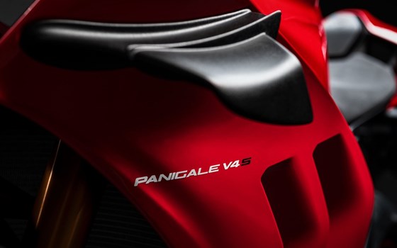 Verleihmotorrad Ducati Panigale V4 S vom Händler Triumph Emsland - Hertrampf Racing - Bild 6 Verleihmotorrad Ducati Panigale V4 S vom Händler Triumph Emsland - Hertrampf Racing - Bild 6