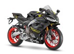 Verleihmotorrad Aprilia RS 660 vom Händler Motorrad Hofmann Monsheim