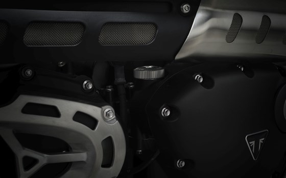 Verleihmotorrad Triumph Scrambler 1200 XE vom Händler Triumph Emsland - Hertrampf Racing - Bild 17 Verleihmotorrad Triumph Scrambler 1200 XE vom Händler Triumph Emsland - Hertrampf Racing - Bild 17