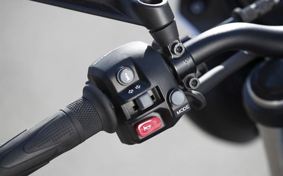 Verleihmotorrad Triumph Street Triple S A2 vom Händler Triumph Emsland - Hertrampf Racing - Bild 15 Verleihmotorrad Triumph Street Triple S A2 vom Händler Triumph Emsland - Hertrampf Racing - Bild 15