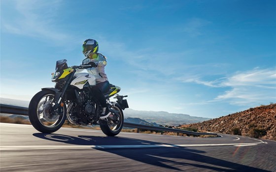 Verleihmotorrad Honda CB500 Hornet vom Händler Motorrad Oeler GmbH - Bild 7