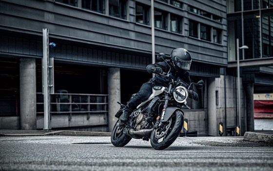Verleihmotorrad Husqvarna Vitpilen 401 vom Händler Road Star Motorcycles GmbH - Bild 8 Verleihmotorrad Husqvarna Vitpilen 401 vom Händler Road Star Motorcycles GmbH - Bild 8