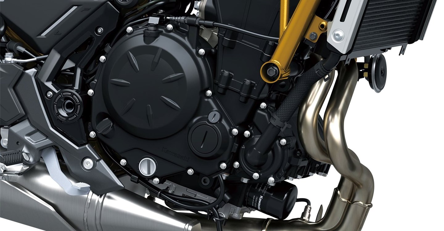 Verleihmotorrad Kawasaki Z650 S vom Händler Motorrad Hofmann Monsheim