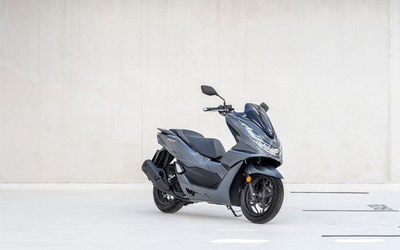 Verleihmotorrad Honda PCX125 vom Händler Autohaus Louis Dresen GmbH - Bild 1 Verleihmotorrad Honda PCX125 vom Händler Autohaus Louis Dresen GmbH - Bild 1