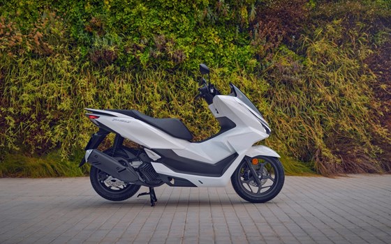 Verleihmotorrad Honda PCX125 vom Händler Autohaus Louis Dresen GmbH - Bild 24 Verleihmotorrad Honda PCX125 vom Händler Autohaus Louis Dresen GmbH - Bild 24